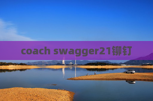 coach swagger21铆钉